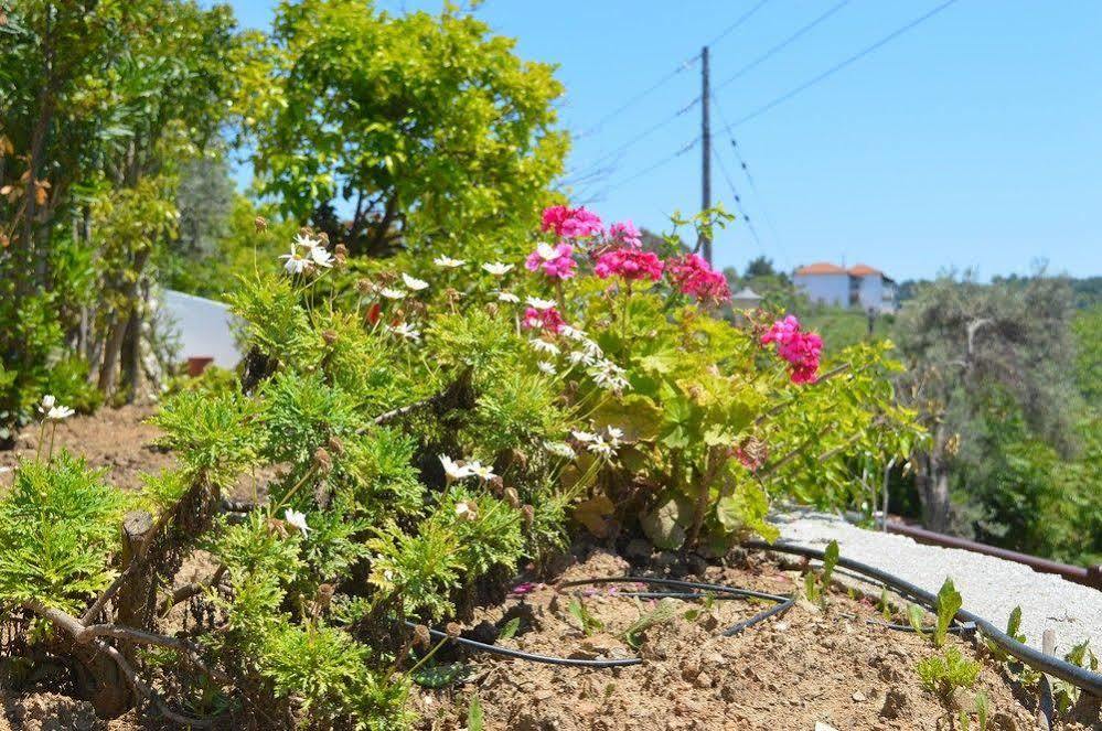 Villa Maraki Platanias  エクステリア 写真